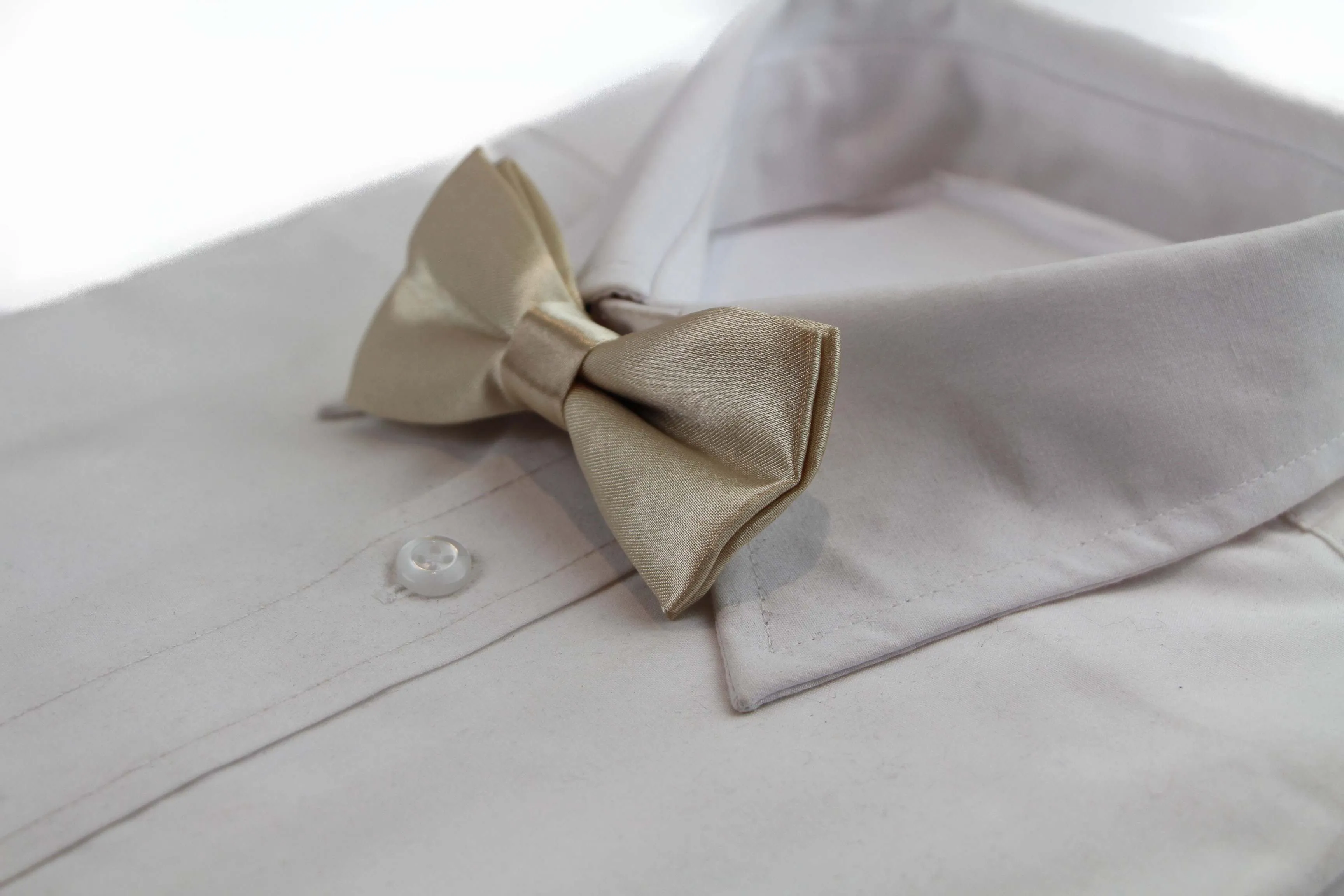 Boys Champagne Plain Bow Tie