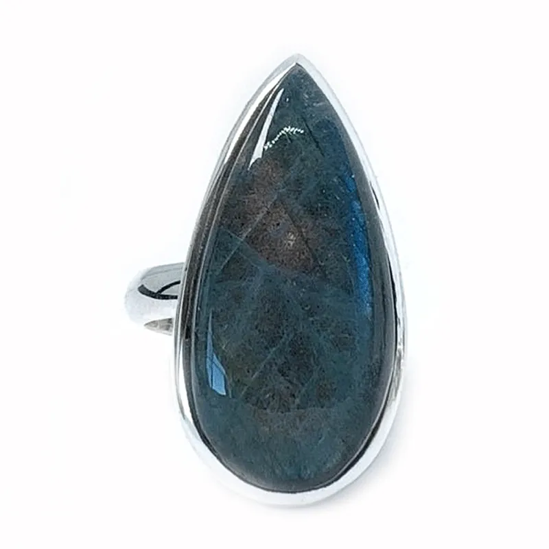 Clancy Labradorite Teardrop Ring