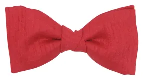 CLEARANCE - Red Shantung Boys Bow Tie