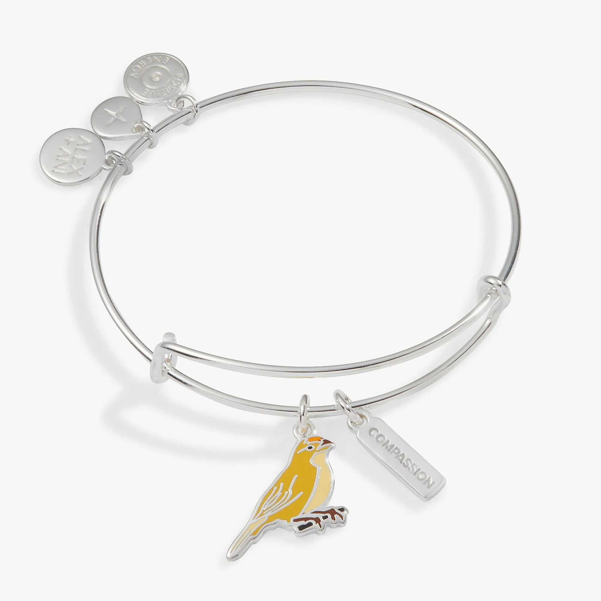 Compassion Yellow Canary Duo Charm Bangle