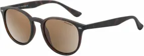 DD Racoon - Satin Tort/Brown Polarised