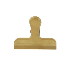 Gold Stainless Steel Clip